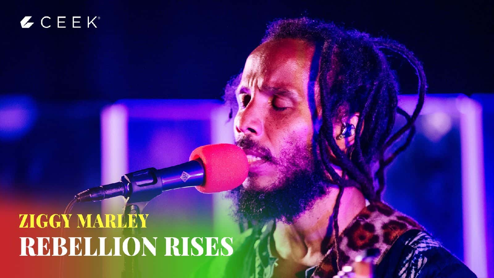 Ziggy Marley Rebellion Rises Live Concert