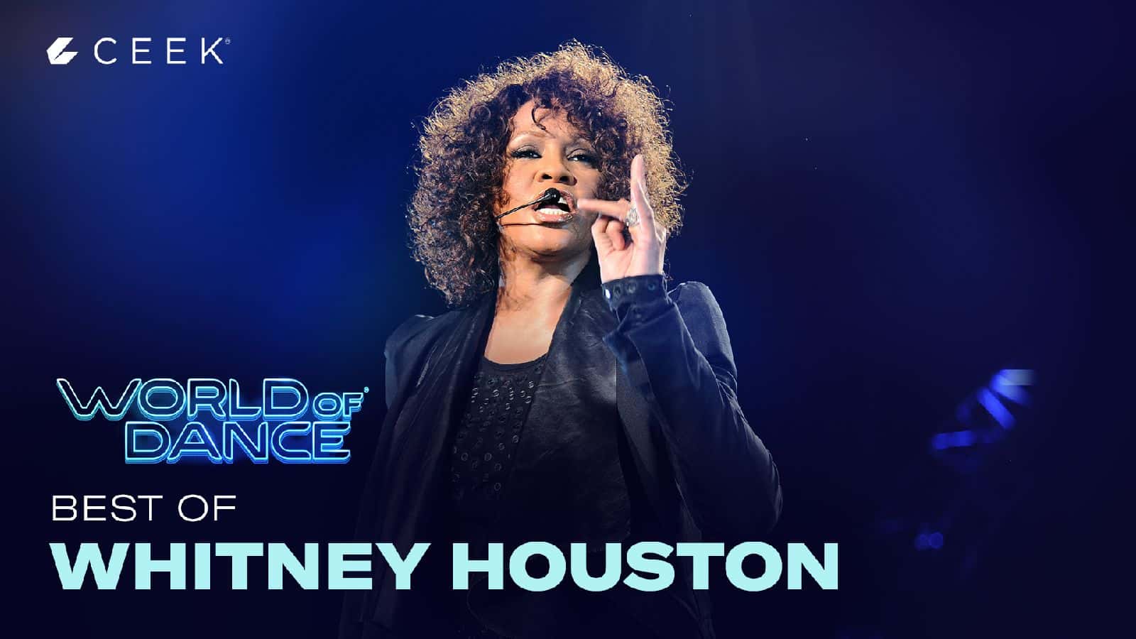 Whitney Houston Performs I Will Always Love You At World Music Awards