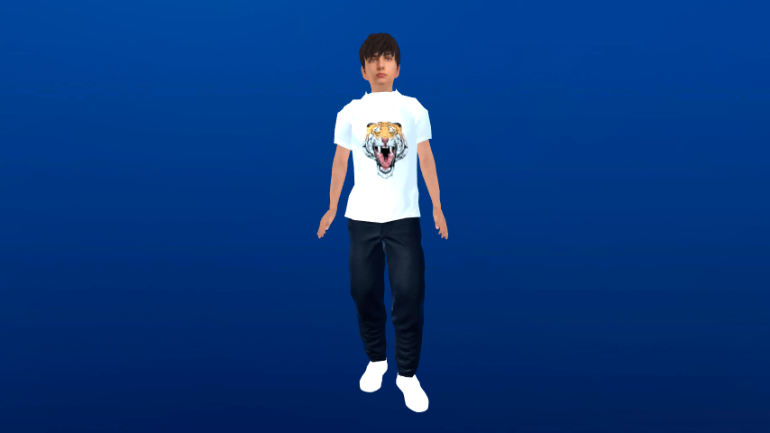 Tiger Tee Shirt